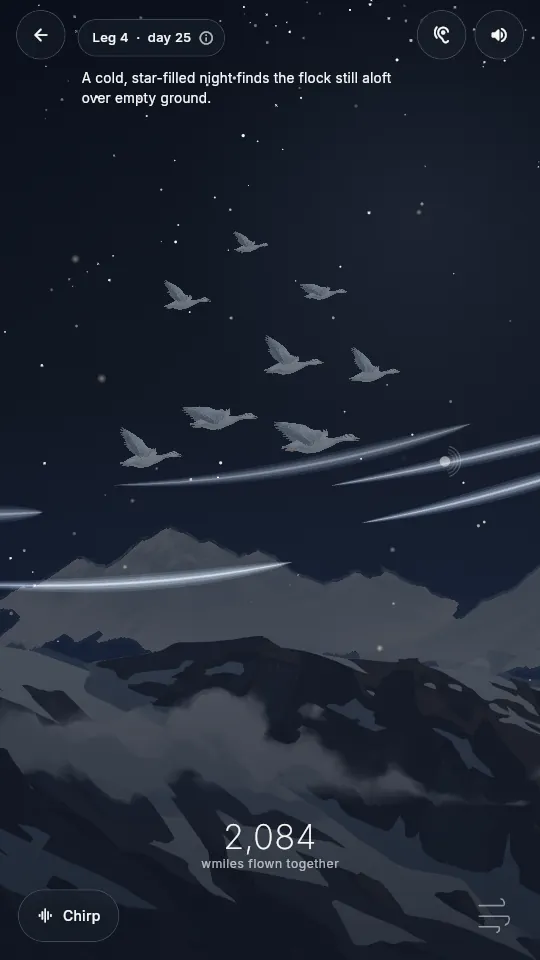 WingIt at night: the flock flying beneath a deep indigo sky full of stars.
